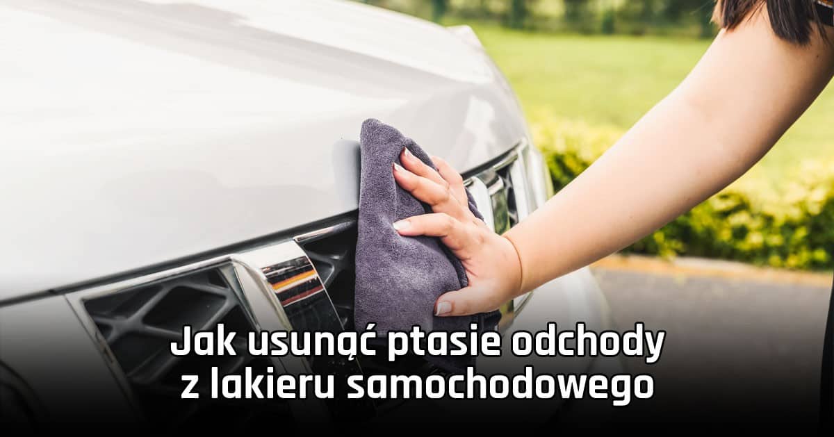 Jak usunąć ptasie odchody z lakieru samochodowego