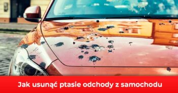 Jak usunąć ptasią kupę z lakieru