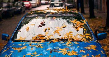 Jesienne liście spadły na Twoje auto? Usuń je jak najszybciej — zobacz, dlaczego
